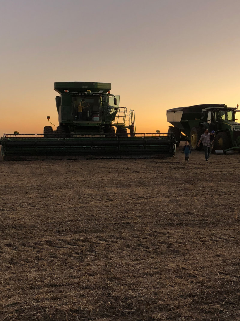Harvest equipment at sunset